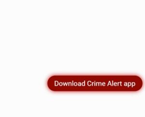 website download