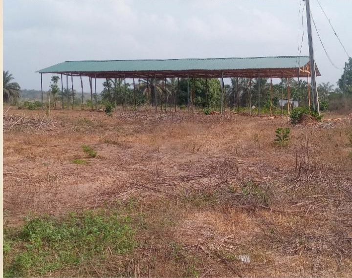 Ongoing Project: Upgrade of the Oyo State-IITA Youth Agribusiness Incubation Park Centre, Awe 7 20210325 115536