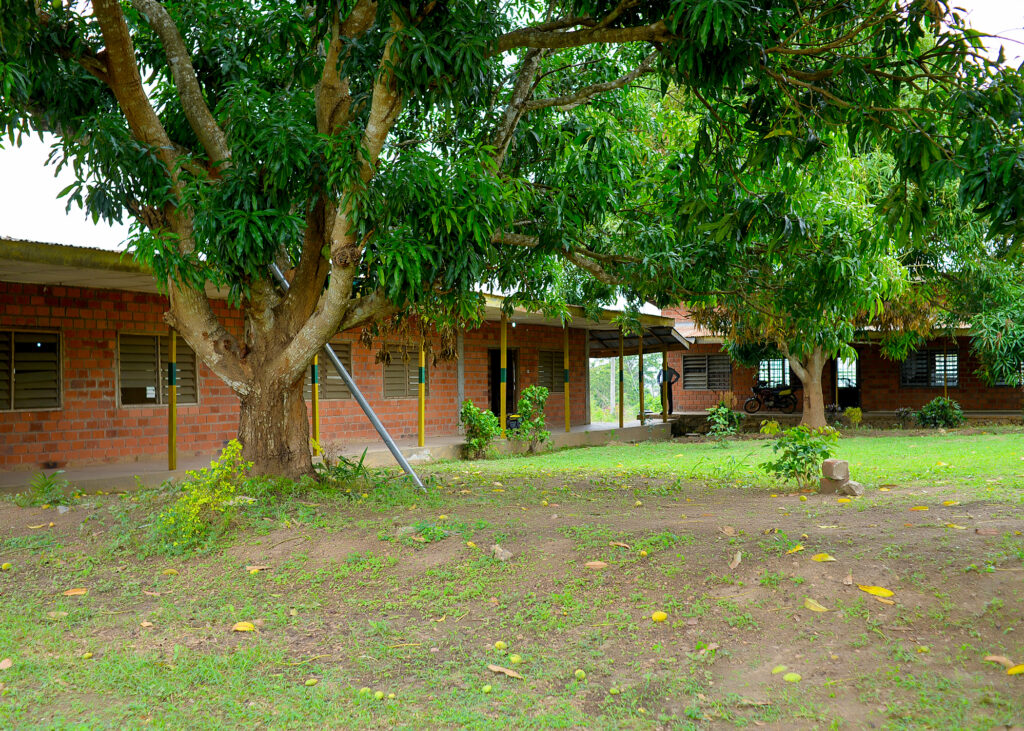 Ongoing Project: Upgrade of the Oyo State-IITA Youth Agribusiness Incubation Park Centre, Awe 5 Buildings 1