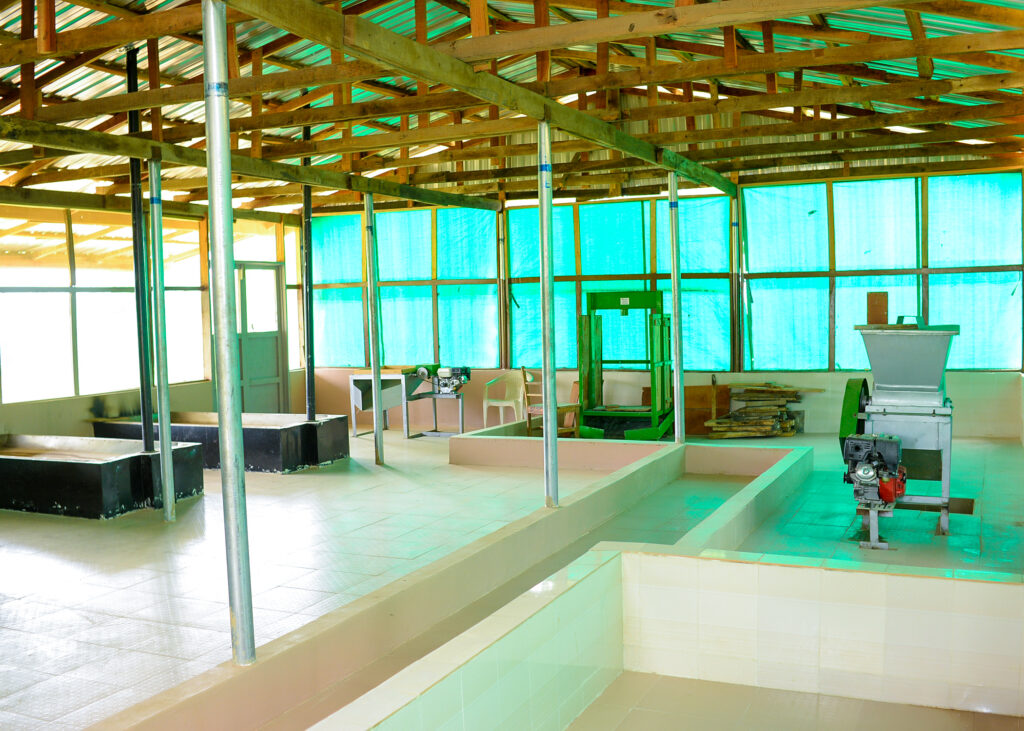 Ongoing Project: Upgrade of the Oyo State-IITA Youth Agribusiness Incubation Park Centre, Awe 6 Cassava Processing House