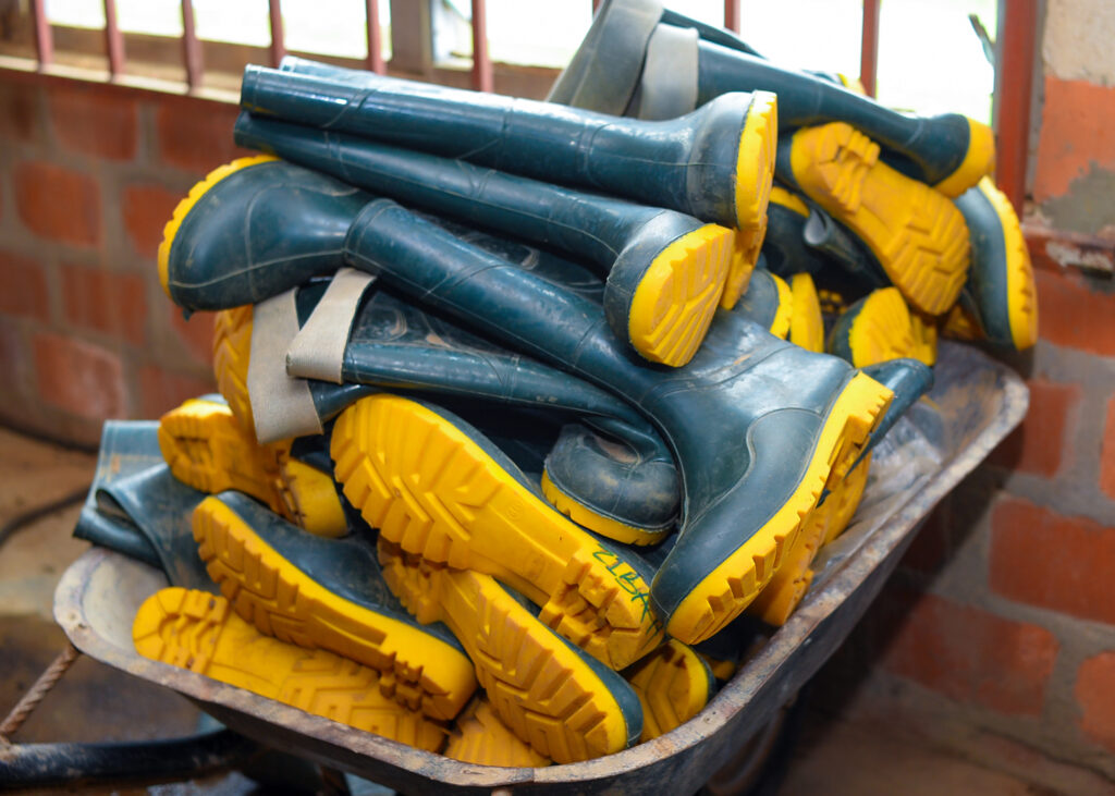 Ongoing Project: Upgrade of the Oyo State-IITA Youth Agribusiness Incubation Park Centre, Awe 16 Farm Boots