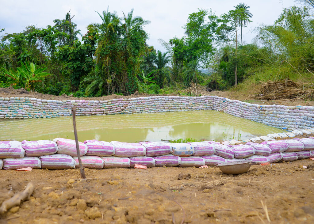 Ongoing Project: Upgrade of the Oyo State-IITA Youth Agribusiness Incubation Park Centre, Awe 8 Fish Pond