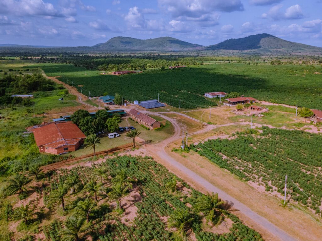 Governor Seyi Makinde: 2 Years in Office Achievements – Economy 5 6. Oyo State IITA Agribusiness Park