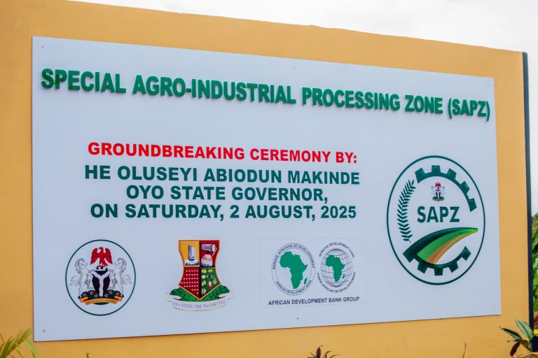 Construction of the Oyo State Agribusiness Industrial Hub, Ijaiye